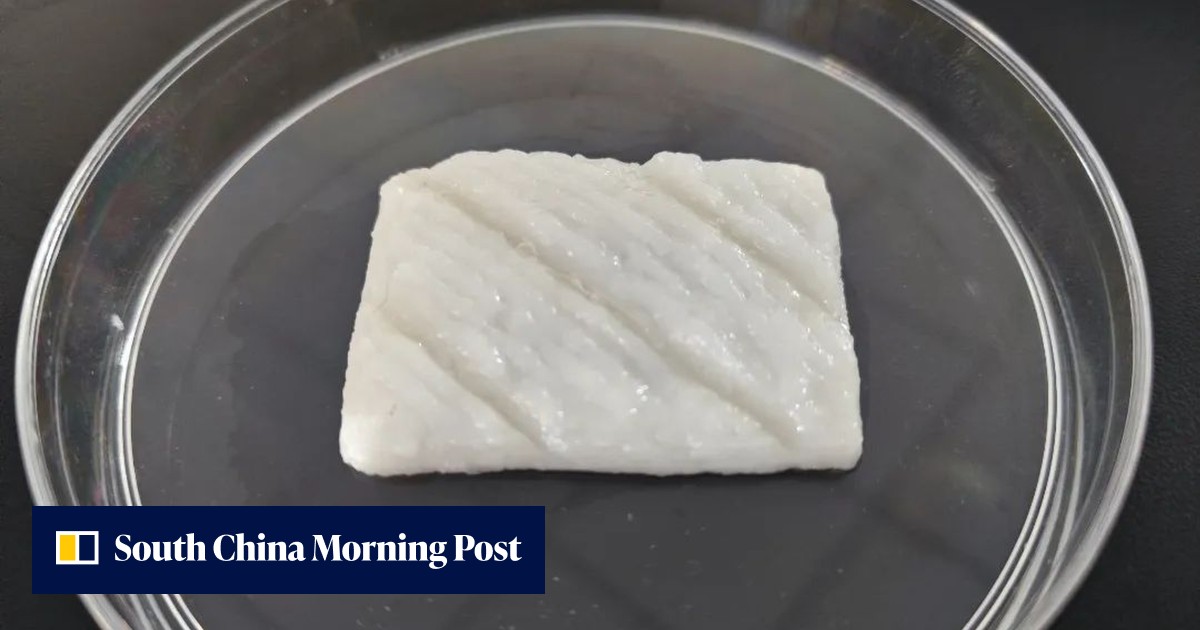 China scientists' lab-grown fish fillets point the way to food future - Vimarsana News