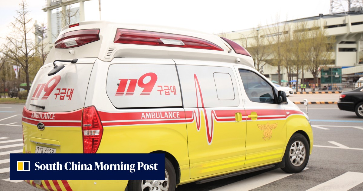 South Korean boy, 5, dies in Seoul after 4 hospitals refuse to admit him - Vimarsana News