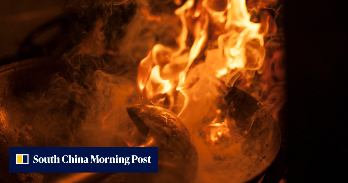 What Cantonese chefs share with kung fu fighters – speed and timing, necessary to produce 'breath of the wok' textures and flavours - Vimarsana News