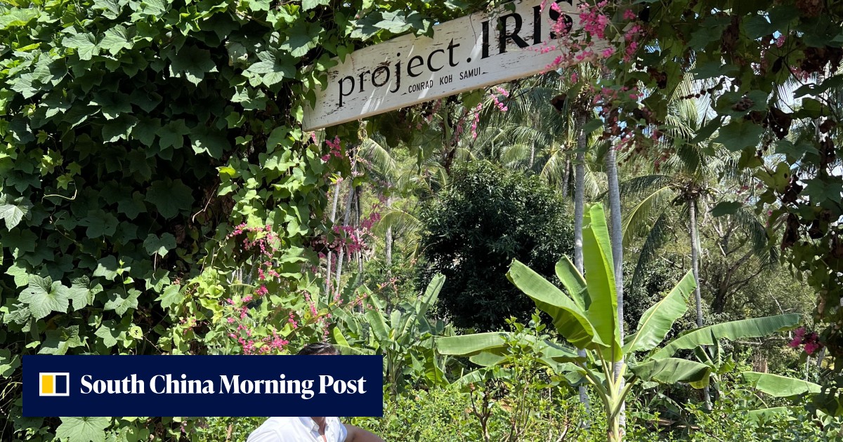 'High-quality throughout': how this Thai luxury hotel farms its own food, from eggs and bacon to bananas and mushrooms - Vimarsana News