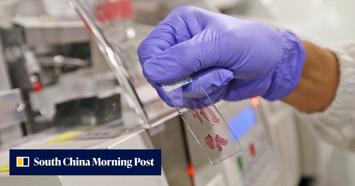 39 top overseas academics recruited under Hong Kong talent scheme, but some say shortage of lab resources, high property costs a deterrent - Vimarsana News
