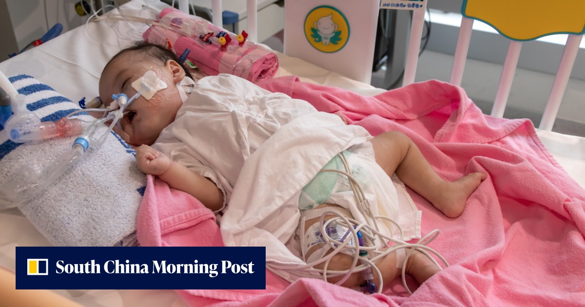 Hong Kong security chief accuses ex-district councillors living overseas of involvement in wave of withdrawals from city's organ donor scheme - Vimarsana News
