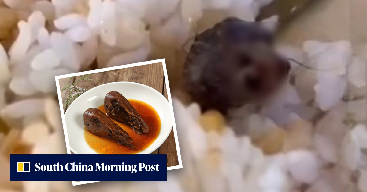'Not a mouse head': college in China claims 'foreign object' with 'teeth' in canteen dish is duck neck but many unconvinced - Vimarsana News