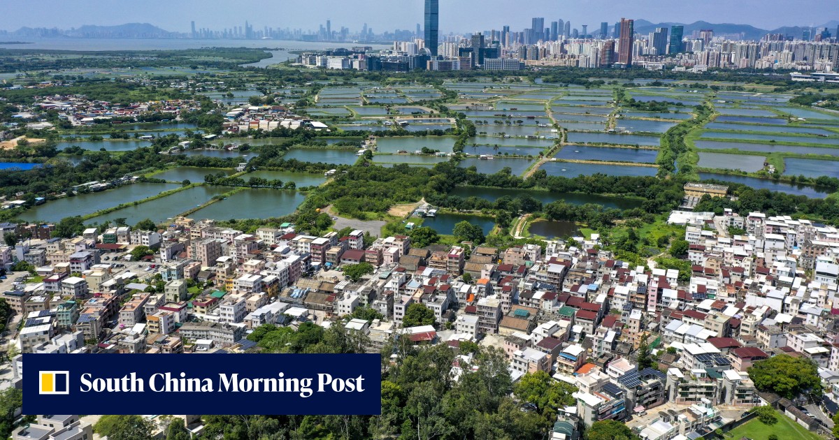 Hong Kong environmental groups join forces to sound warning over potential loss of bird haven because of new IT hub development - Vimarsana News