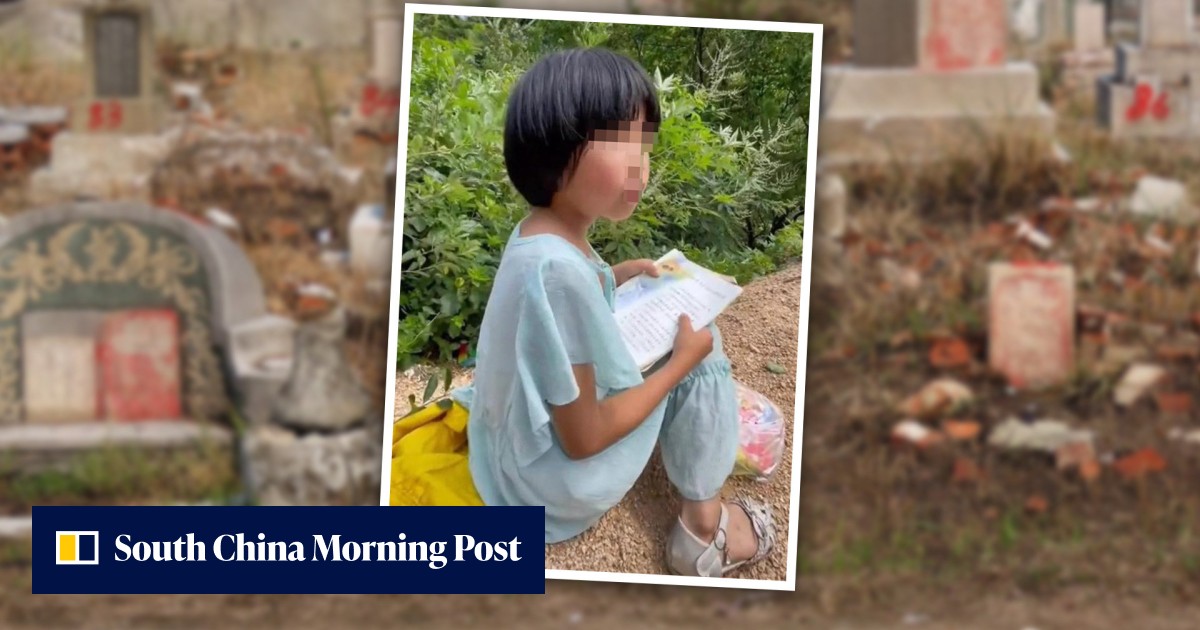 'Dreamed about my dad last night': Chinese girl, 7, filmed at grave of father reading him stories moves mainland social media - Vimarsana News