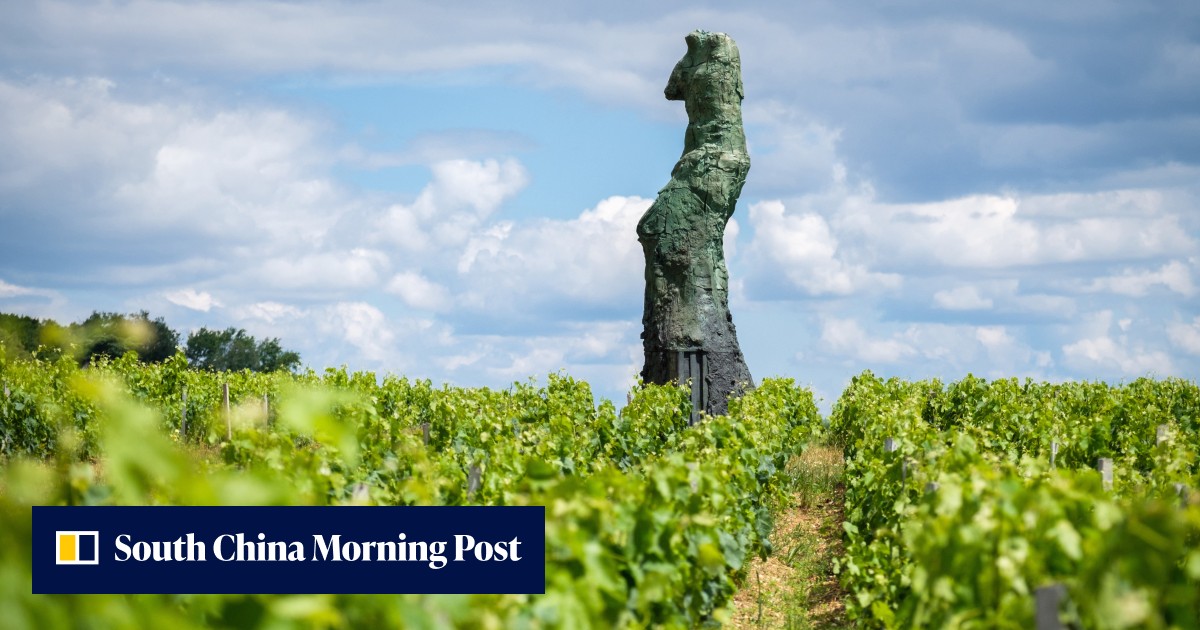 Amazing views. Stunning architecture. Perhaps a Michelin-star restaurant. Oh, and 'decent wine': the world's best vineyards to visit, according to World's 50 Best - Vimarsana News