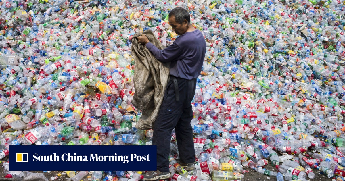 Chinese scientists claim lead in race for viable biodegradable plastics - Vimarsana News