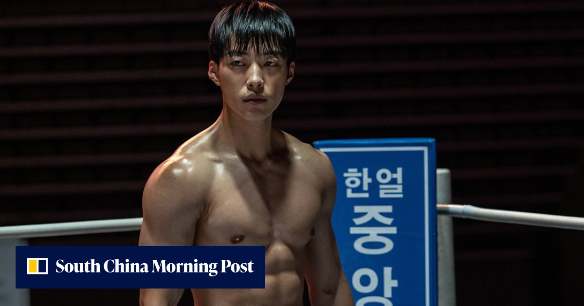 Bloodhounds' Woo Do-hwan set for Netflix K-drama Mr. Plankton; King the Land's Lee Jun-ho eyed for Cashero – Korean drama casting latest - Vimarsana News