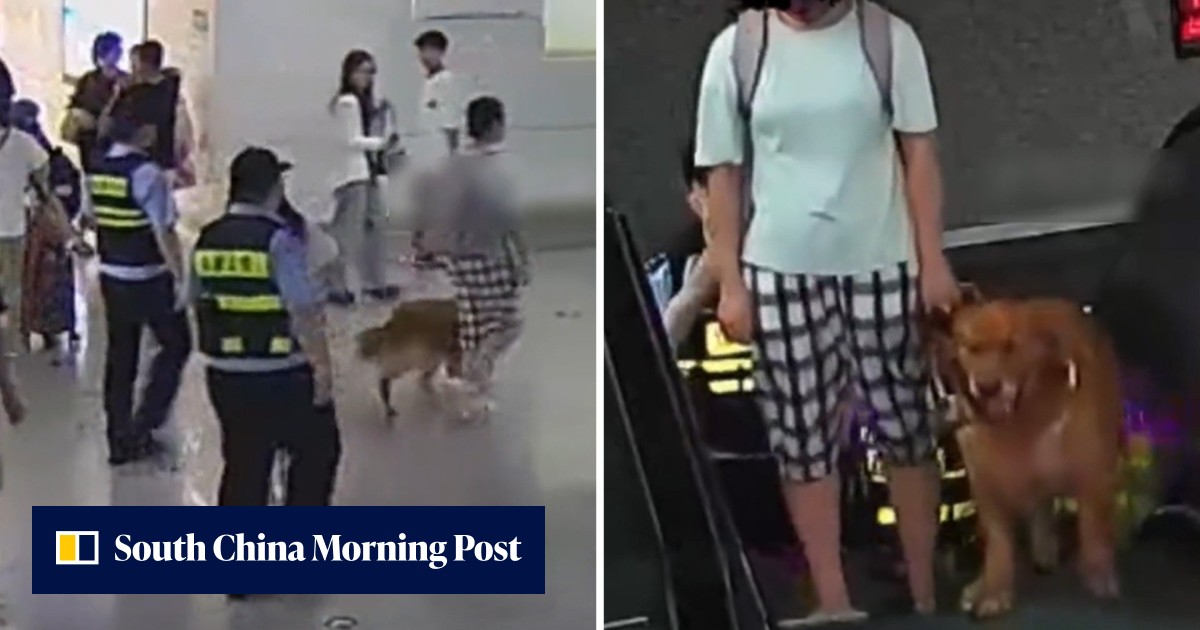 'Blue' guardian angels: police officer duo 'shadow' blind girl for 400 days to protect her on walk through subway, touching Chinese social media - Vimarsana News