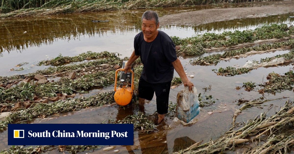 China food security: floods leave grain crops filthy, inviting pests and disease as Typhoon Khanun looms - Vimarsana News