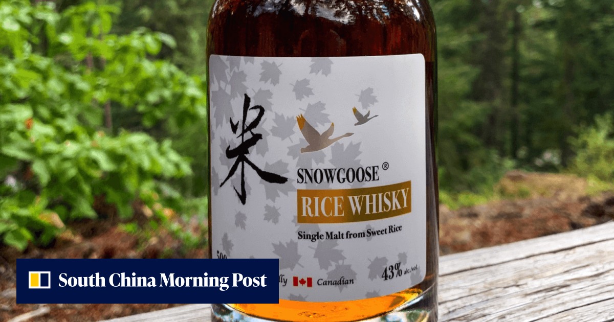 The rice whisky made in Canada by a Chinese microbiologist | South China Morning Post - Vimarsana News