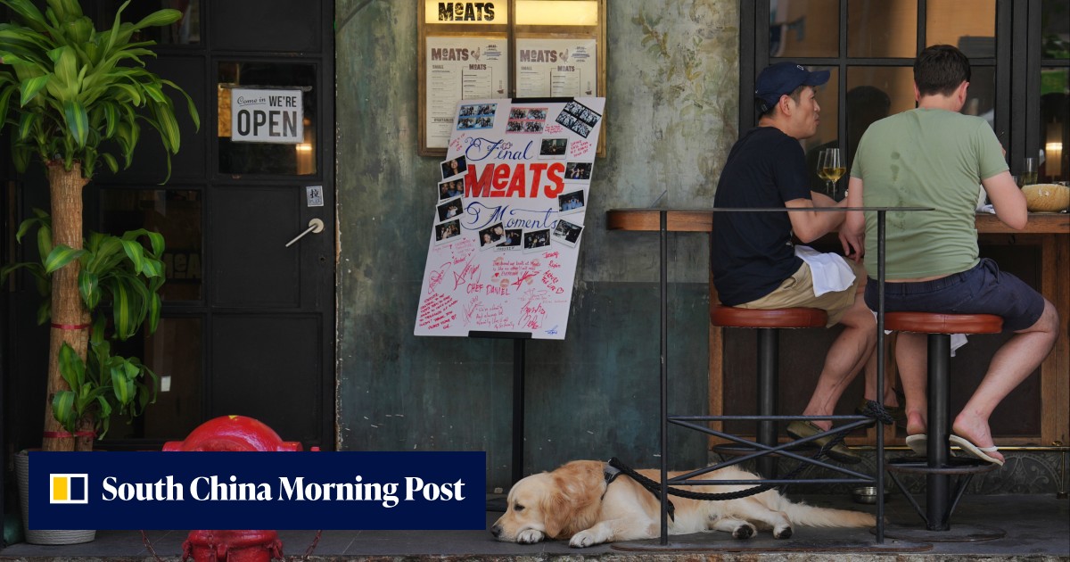 Summer slump bites hard for Hong Kong's restaurants, as residents head across the border and mainland Chinese tourists cut back - Vimarsana News