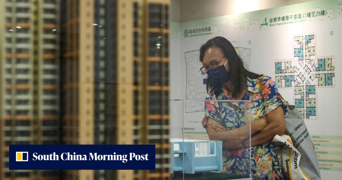More than 100 Hongkongers seize last chance to buy subsidised flat under Home Ownership Scheme, despite falling property prices - Vimarsana News
