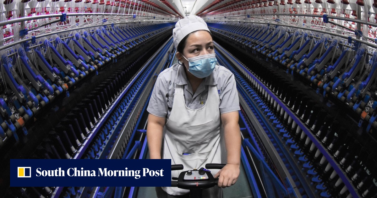 China's cotton output set to fall 1 year after US' Xinjiang ban as focus shifts to food security, quality - Vimarsana News