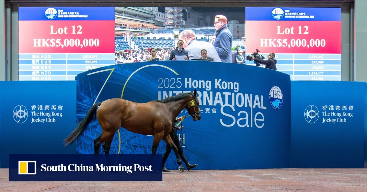 0*1様 60s〜 british hong kong leisure jake Hong Kong International Sale needs 'holistic review of every