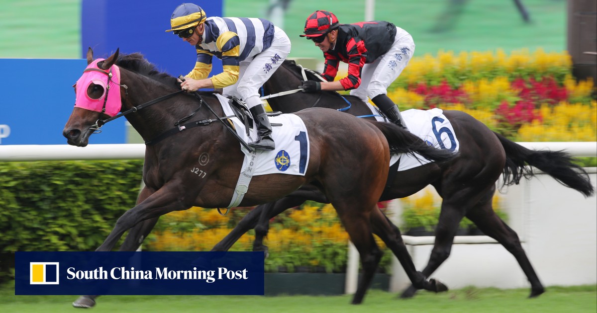 https://cdn.i-scmp.com/sites/default/files/styles/og_twitter_scmp_generic/public/d8/images/canvas/2025/06/19/da3b8ba0-e5f4-497e-92db-1a3eadd8f81f_1f3b0a3b.jpg?itok=dW5nC1kV&v=1750317346