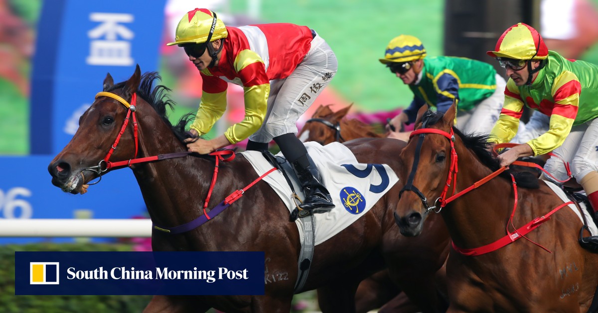 https://cdn.i-scmp.com/sites/default/files/styles/og_twitter_scmp_generic/public/d8/images/canvas/2026/05/19/6765b8aa-1aa5-467f-9f86-c670a97a6f55_7f69f0eb.jpg?itok=DrhQXgcR&v=1779174320