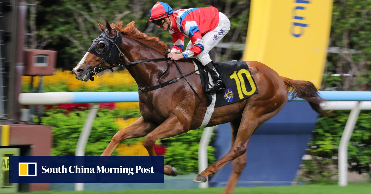 https://cdn.i-scmp.com/sites/default/files/styles/og_twitter_scmp_generic/public/d8/images/canvas/2026/06/23/e812d264-f2c3-4f6f-95c9-b84ad4d06083_55e825ab.jpg?itok=HGgLA7Sm&v=1782202140
