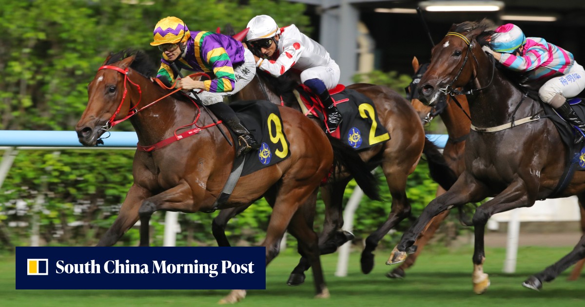 https://cdn.i-scmp.com/sites/default/files/styles/og_twitter_scmp_generic/public/d8/images/canvas/2026/08/07/4c37970a-b2da-4ae5-a658-efe207e08dd2_e37ed1b5.jpg?itok=WzzKE0qR&v=1786089265
