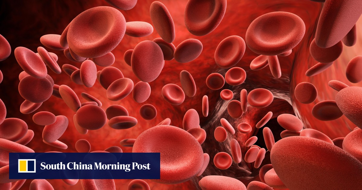 What Blood Does Foods To Keep It Healthy Plus Disorders - 