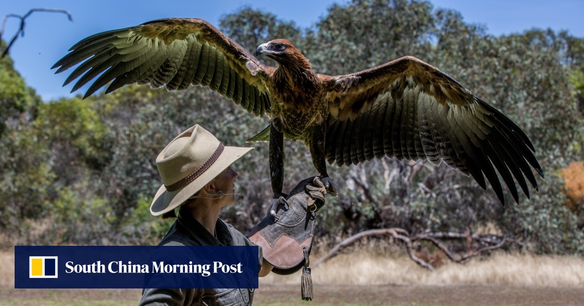 Hiking The Arkaba Walk Bushwhacking And Kangaroo Spotting