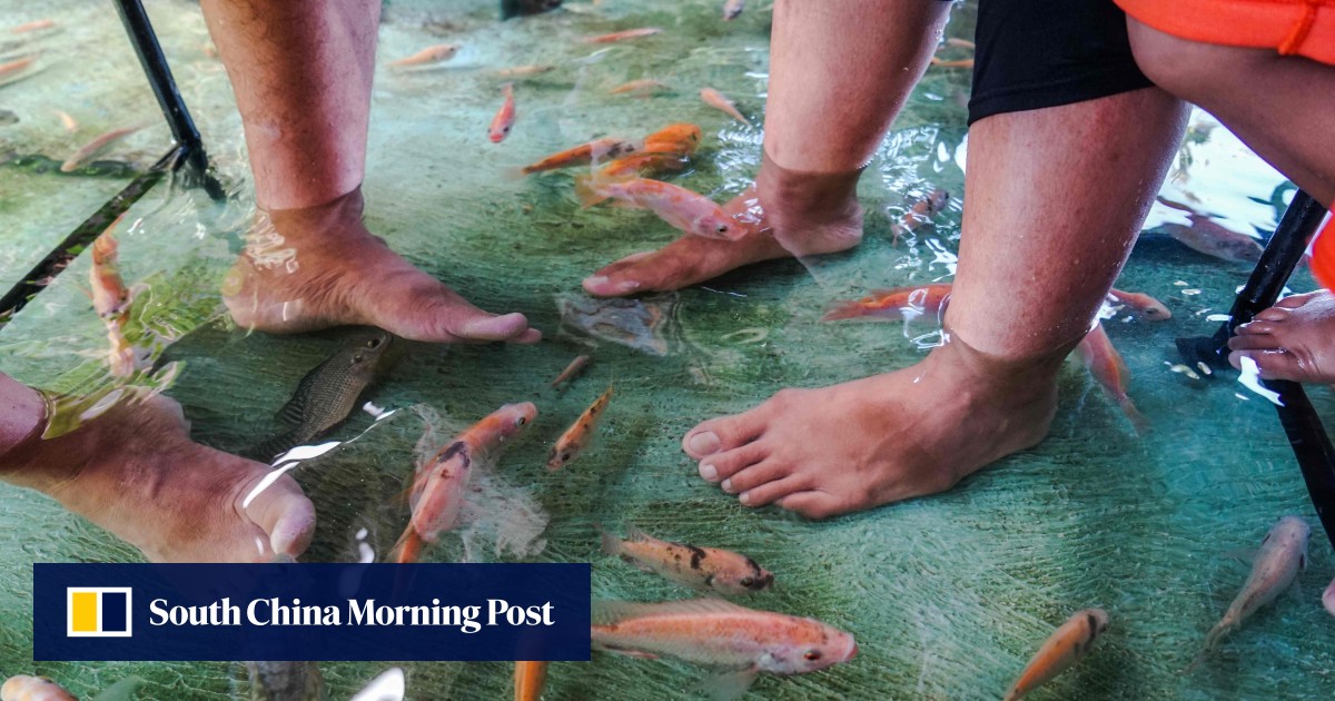 Unique Indonesian Restaurant Offers Fish Pedicures While You Eat With Tables And Chairs Sitting In Ankle-deep Water South China Morning Post Unique Indonesian Restaurant Offers Fish Pedicures While You Eat With Tables And Chairs Sitting In Ankle-deep Water South China Morning Post