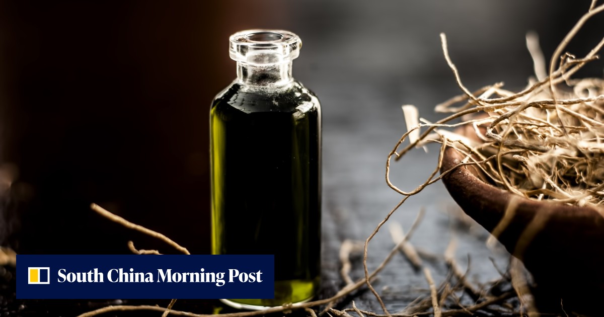 Benefits of vetiver oil, used in Ayurvedic medicine, from diet and skincare to pain relief and stress management - Vimarsana News