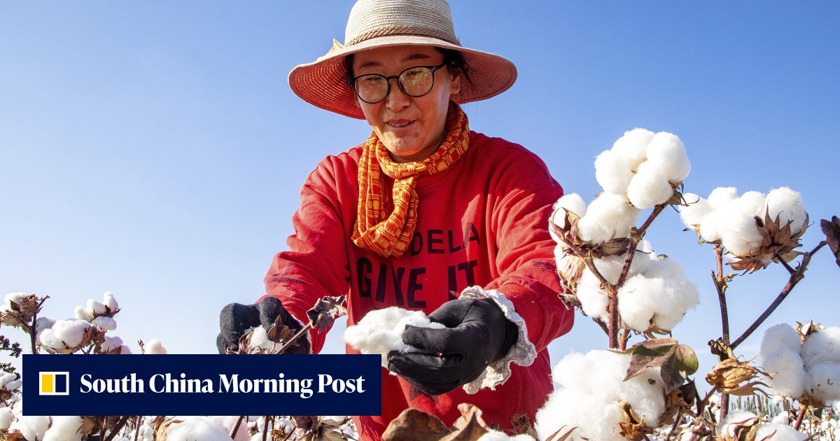 US ban on Xinjiang cotton may push China to open up to more imports - Vimarsana News