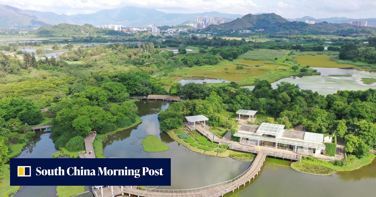 Hong Kong misses United Nations biodiversity targets, green group says, as it urges government to adopt conservation focus in policies - Vimarsana News