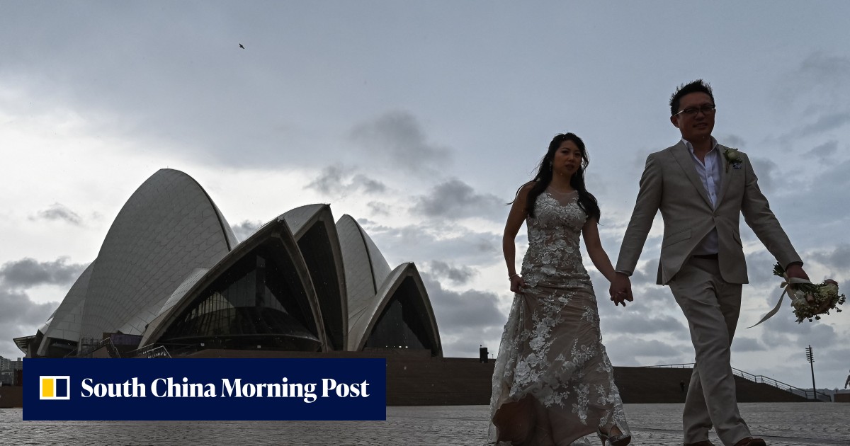 Coronavirus: Sydney set for reopening; anger in Vietnam over killing of 13 dogs as owners get Covid-19 - Vimarsana News