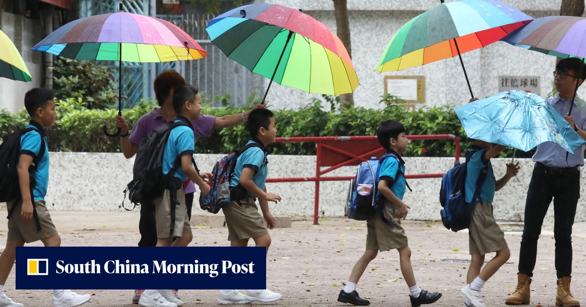 Authorities urged to cut class sizes, attract mainland Chinese pupils to ensure Hong Kong schools' survival - Vimarsana News