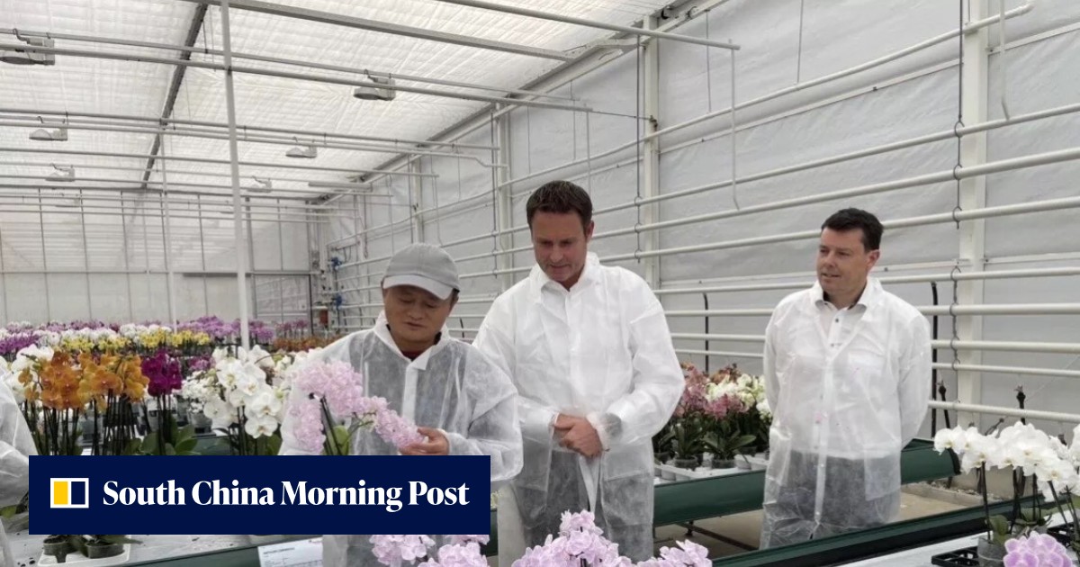 Jack Ma visits Dutch research institutes as Alibaba's founder pursues post-retirement passion in agriculture technology - Vimarsana News
