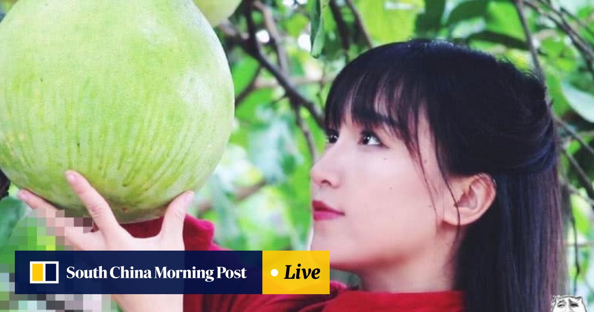 Chinese Youtube Star Li Ziqi Dismisses Claim She Makes Us 24 Million A Year South China Morning Post