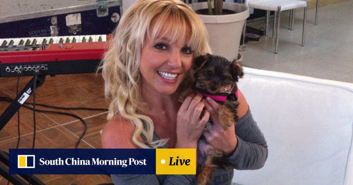 How Britney Spears Made Her Us 59 Million Fortune And What She Spends All That Money On South China Morning Post Britney spears became a major figure in mainstream pop music and pop culture with her 1999 hit baby one more time and the 2000 follow up single ooops! how britney spears made her us 59