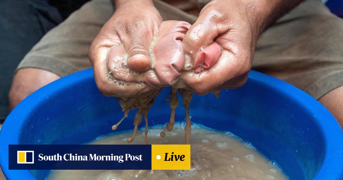 Kava Natural Alternative To Xanax Finds New Markets As Wellness Drink Overseas And Alternative To Coffee For Fijian Women Amid Coronavirus South China Morning Post