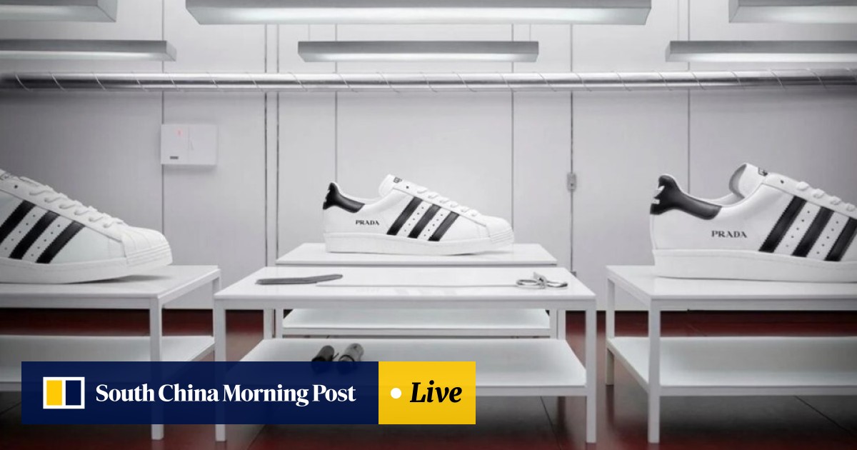 Prada x Adidas Superstar sneakers: when they drop, what colours and where  to buy – everything you need to know about the luxury streetwear  collaboration | South China Morning Post