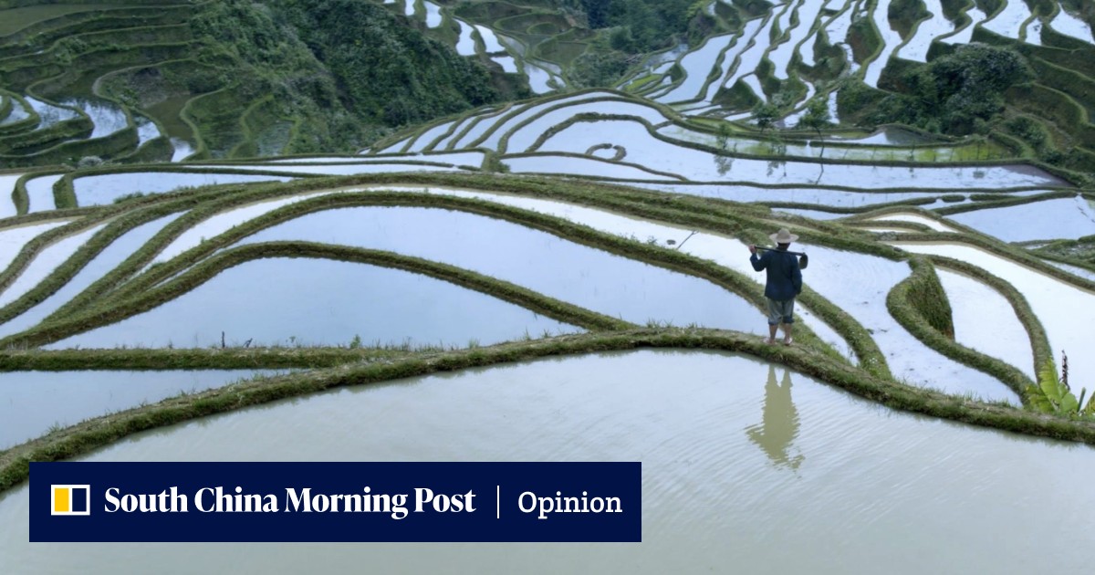 Drones show China's changing seasons in BBC Earth series to brilliant effect, as cameras follow rural dwellers in pursuits old and new - Vimarsana News