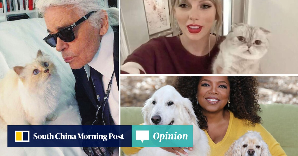 The 8 richest pets in the world: meet Taylor Swift and ...