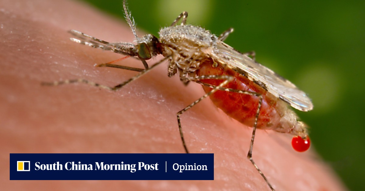 How malaria got its name, why it was a misnomer and the cultures that still don't associate the disease with mosquitoes - Vimarsana News
