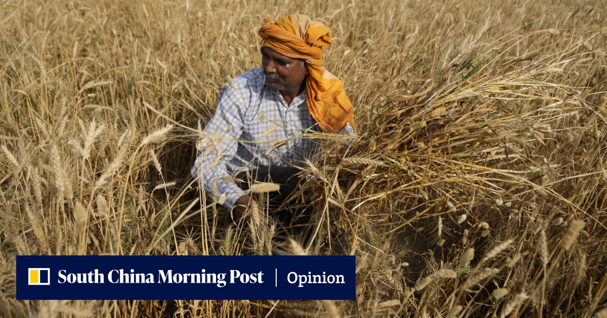 Agricultural export bans amid global food insecurities leave developing world to suffer - Vimarsana News