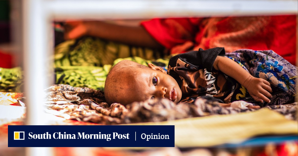 Ukraine conflict highlights the need to find better ways to feed the world - Vimarsana News