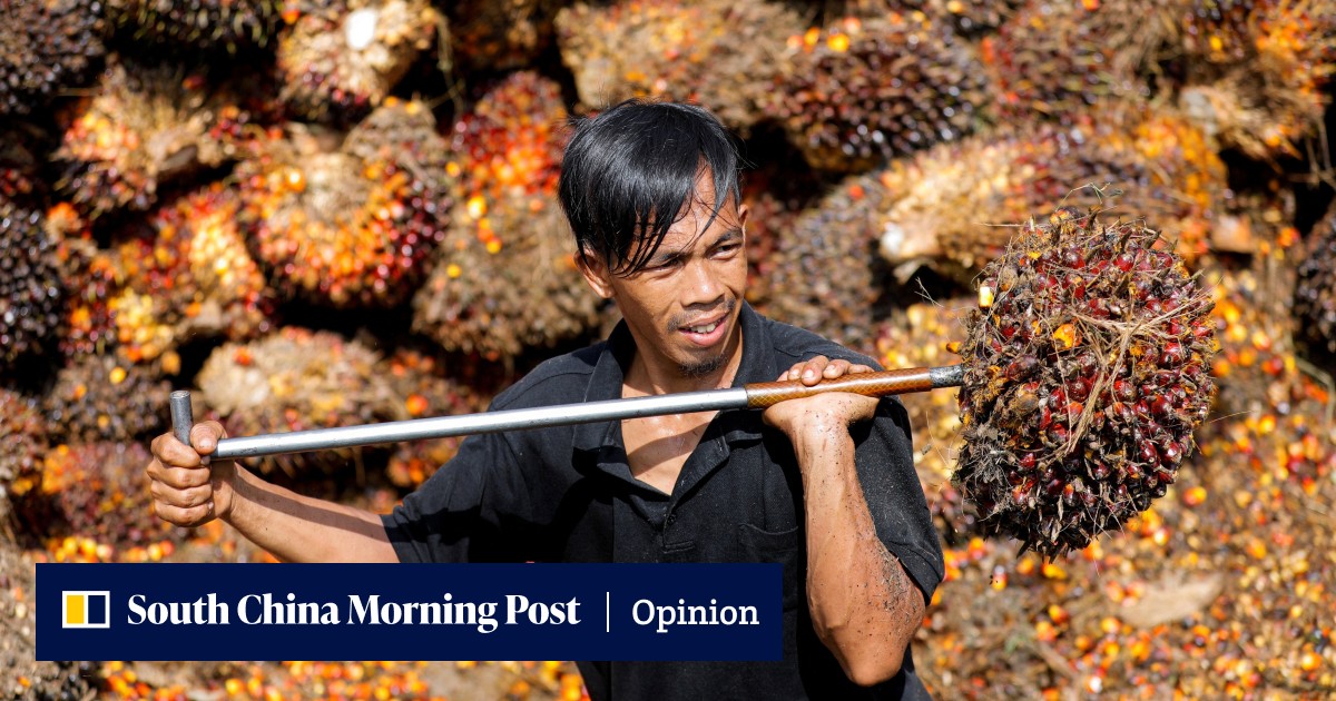 Emerging Asia at risk from EU's protectionist carbon border tax - Vimarsana News