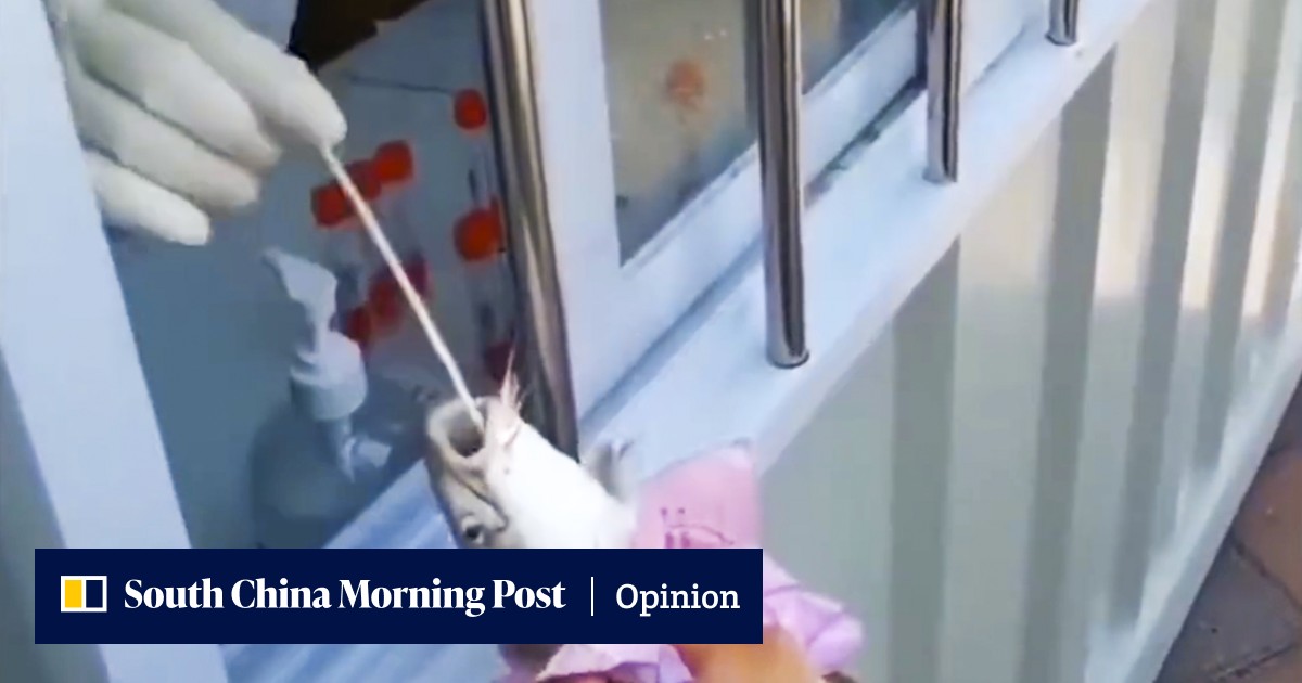 Testing fish for Covid-19 is a sign that political dogma has trumped common sense in China - Vimarsana News
