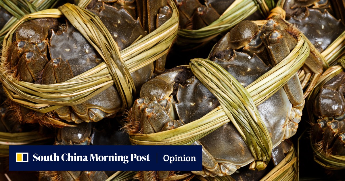 Autumn in Hong Kong means alfresco dining and hairy crab – but will 0+3 make this year particularly quiet for the city's restaurants? - Vimarsana News