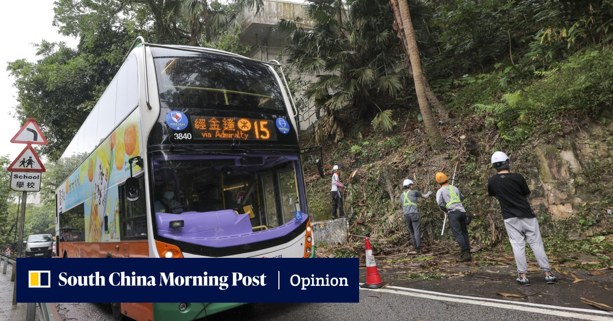 Hong Kong can prevent deaths from falling trees with better government coordination - Vimarsana News