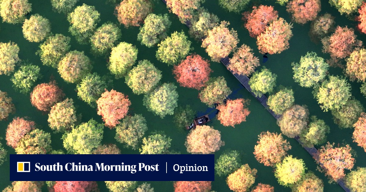 Pressure is on for Asian businesses to protect region's biodiversity - Vimarsana News