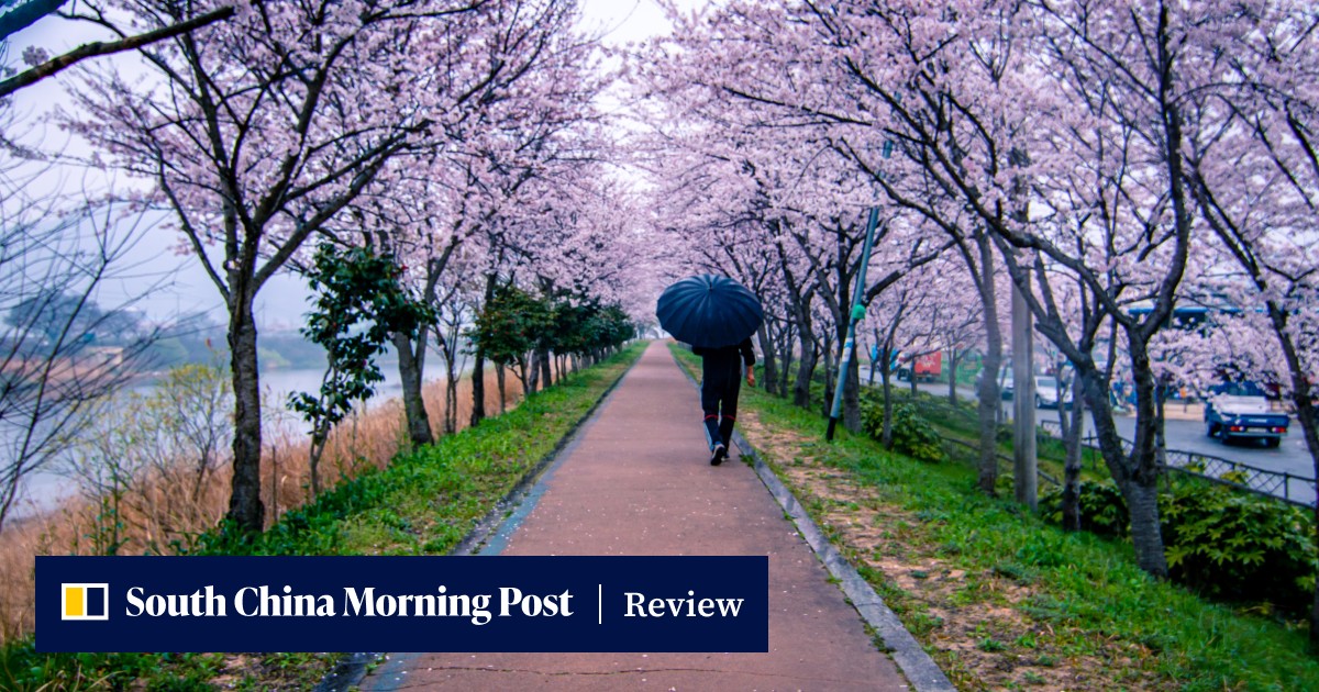 Bestselling Korean novel about a young gay man's search for love has a soap-operatic tone - Vimarsana News