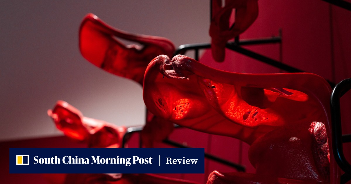 'Double Vision' exhibition at Tai Kwun in Hong Kong may leave you disoriented - Vimarsana News
