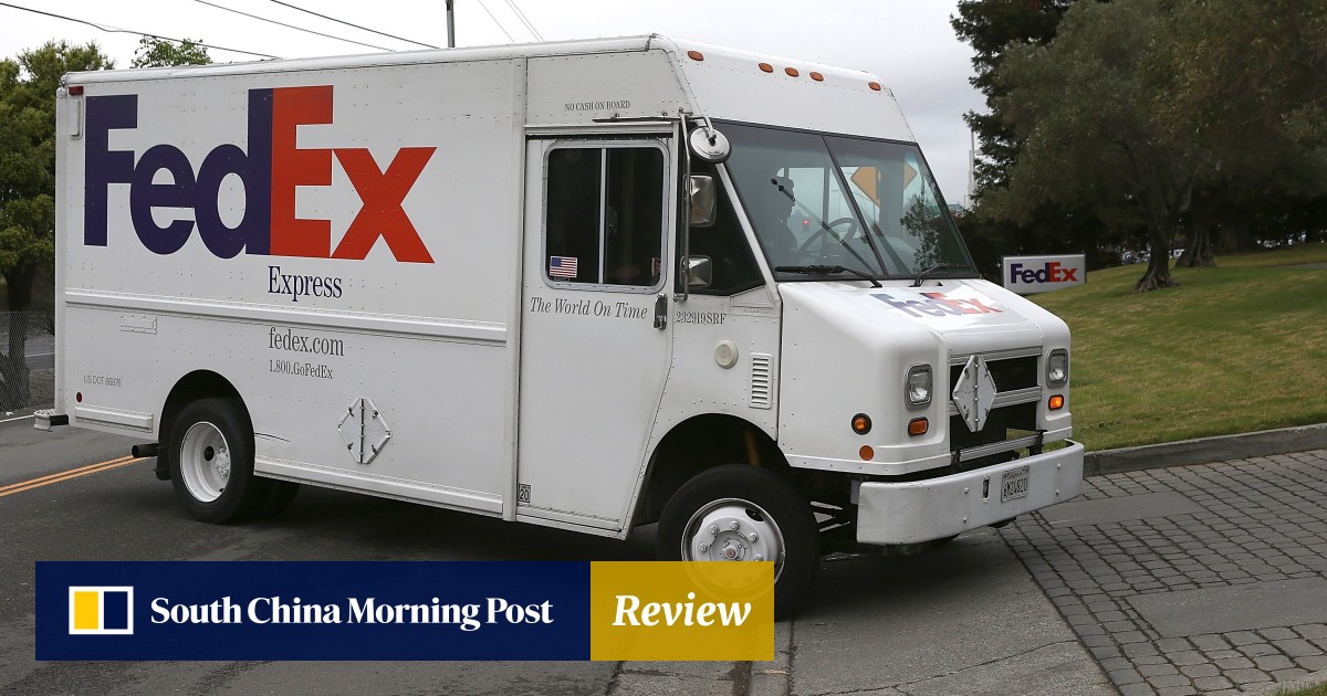 Tiny Dog Squashed By Fedex Package Says Family Who Had To