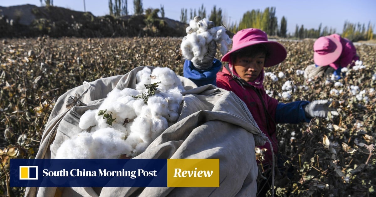US farm brand John Deere at forefront of surging cotton machinery sales to Xinjiang, as human rights sanctions loom | South China Morning Post